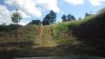 bmps2003 (14)