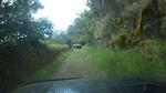 bmps2003 (41)