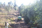 IMG 0291 Easy-Resize.com
