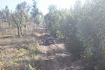 IMG 0297 Easy-Resize.com