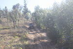 IMG 0298 Easy-Resize.com