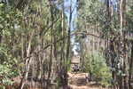 IMG 0304 Easy-Resize.com