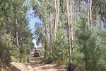 IMG 0308 Easy-Resize.com