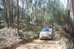 IMG 0313 Easy-Resize.com