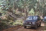 IMG 0315 Easy-Resize.com