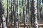 IMG 0320 Easy-Resize.com