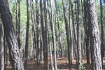 IMG 0321 Easy-Resize.com