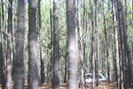 IMG 0322 Easy-Resize.com