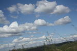 IMG 0323 Easy-Resize.com