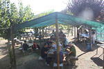 IMG 0339 Easy-Resize.com