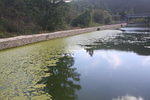 IMG 0341 Easy-Resize.com