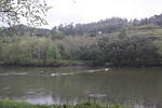 IMG 0723 Easy-Resize.com