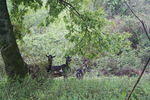 IMG 0728 Easy-Resize.com