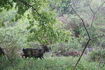 IMG 0729 Easy-Resize.com
