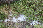 IMG 0768 Easy-Resize.com