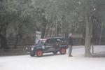 IMG 1318
