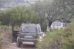 IMG 1329