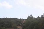 IMG 1353