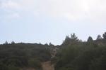 IMG 1355