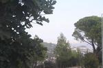 IMG 1366