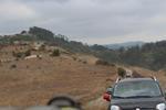 IMG 6684