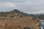 IMG 6685