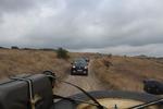 IMG 6687