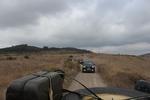 IMG 6689
