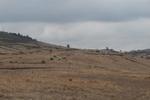 IMG 6692