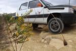 IMG 6724