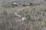 IMG 6735