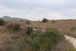 IMG 6738