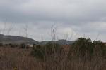 IMG 6739
