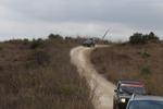 IMG 6741