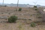 IMG 6742