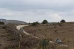 IMG 6743