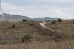 IMG 6744