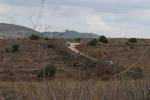 IMG 6745