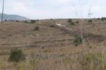 IMG 6747