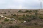 IMG 6751