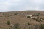 IMG 6752