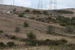 IMG 6755