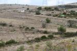 IMG 6756