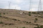 IMG 6757