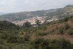 IMG 6758