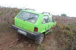 IMG 6843