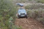IMG 6845