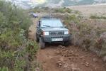 IMG 6847