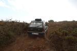 IMG 6852