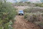 IMG 6854